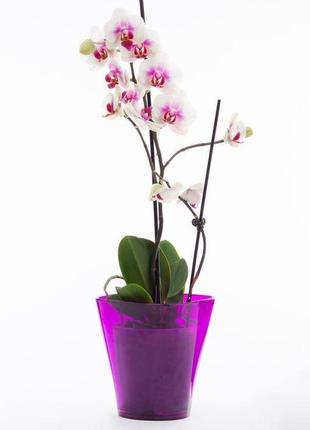 Кашпо для орхідей квадро еталон 1,5 малиновий3 фото