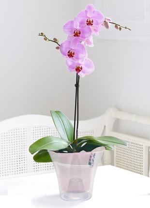 Кашпо для орхідей дельта 1,6 л эталон прозорий2 фото