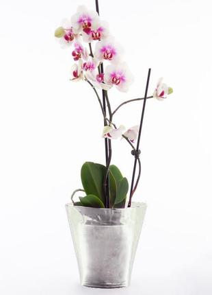 Кашпо для орхідей квадро еталон 1,5 прозорий3 фото