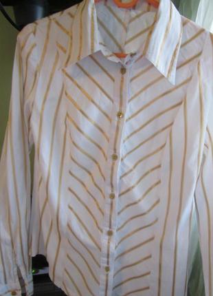 Блуза бавовна+лайкра (еластан), пр-під україна