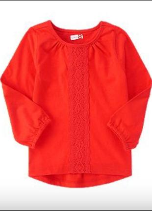 Реглан мереживо вишиванка кофта кофточка для дівчинки