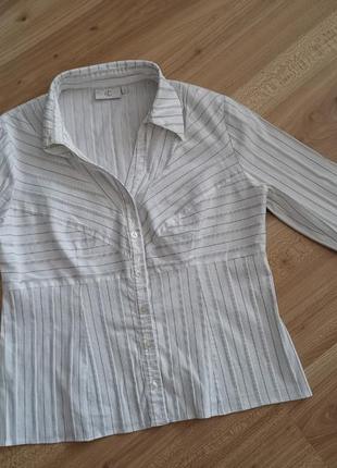 Блуза білосніжна у смужку стрейч, кофточка, блузка, блузочка1 фото