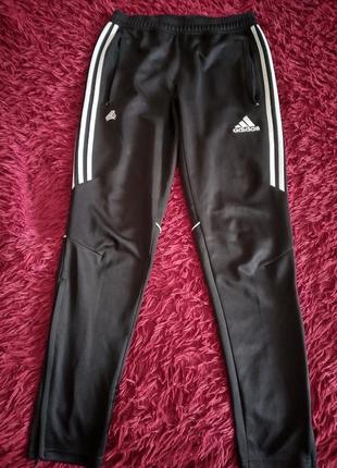 Спортивные штаны мужские adidas1 фото