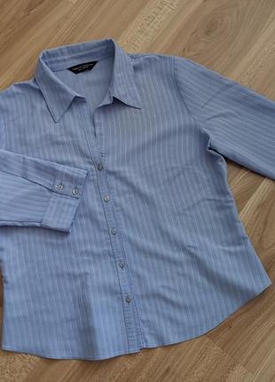 Блуза блакітна у смужку dorothy perkins  блузка, блузочка, кофточка