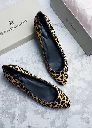 Bandolino оригінал класичні туфлі на невеликому каблуці під леопард, хутро поні5 фото