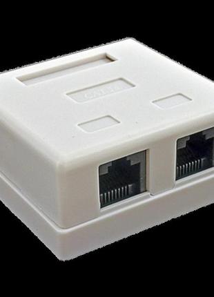 Kingda 2хrj45 utp розетка