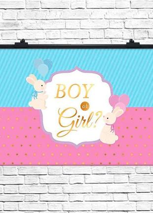 Святковий плакат "boy or girl" розмір - 75х120 см.