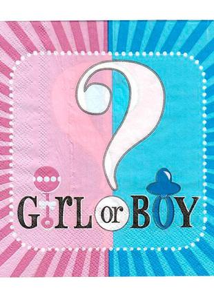 Серветки паперові "boy or girl?", 15 шт., розмір - 33х33 см