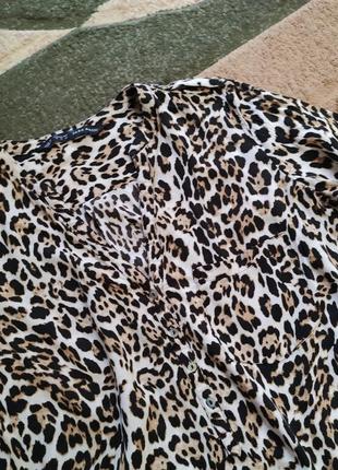 Блуза блузка рубашка хс,с размер 34,36 леопардовая тигровая4 фото