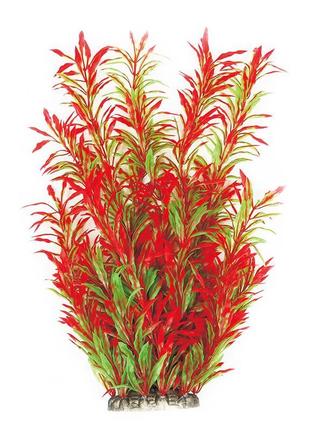Рослина для декору акваріума 8x6x40cm червоно-зелена hygrophila