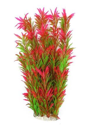 Рослина для декору акваріума 8x6x40cm червоно-зелена hygrophila