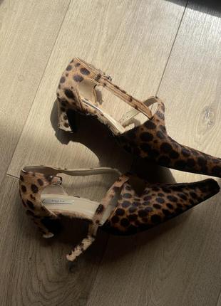 Леопардові мюлі, туфлі hvoya2 фото