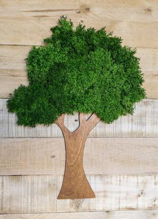 Еко декор "дерево" з стибилизированного моху і фанери3 фото