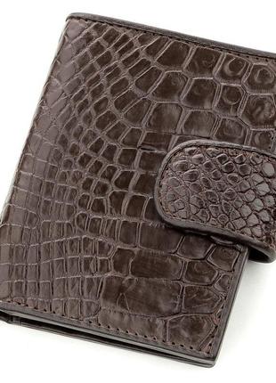 Візниця чоловічий crocodile leather 18575 з натуральної шкіри ...