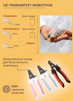 Pet beauty specialist набор 2 в 1 для обрезания когтей животных розовый5 фото