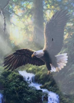 Картина по номерам 30*40см "орел в лесу" opp (холст на раме кр...