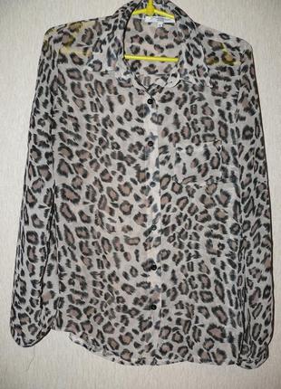 Блузка леопардовий принт5 фото