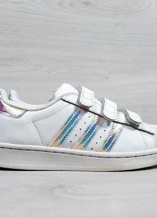 Дитячі кросівки на липучках adidas superstar оригінал, розмір 31