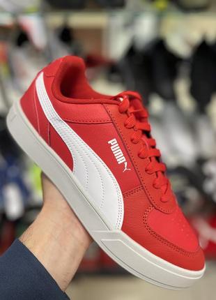 Puma caven