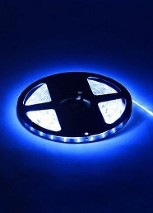 Стрічка світлодіодна "amazon" синя ціна вказана за 1м