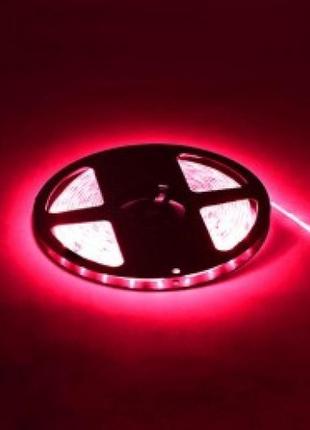 Стрічка світлодіодна "nil" червона