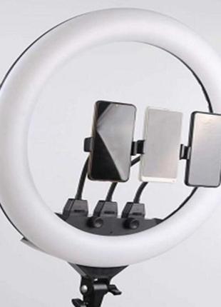 Лампа fill light 56cm remote bag zb-f488