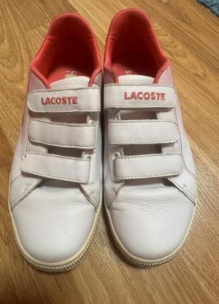 Lacoste кеды3 фото