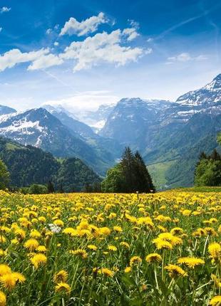 Обігрівач-картина 260вт 100x60 см monocrystal настінний електр...