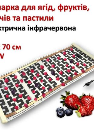 Сушарка для ягід, фруктів, овочів та пастили monocrystal елект...