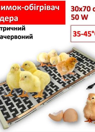 Килимок-обігрівач брудера електричний інфрачервоний 30х70см/50...