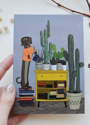 Набір з п'яти авторських листівок такса, кактуси, ботанічна ілюстрація4 фото
