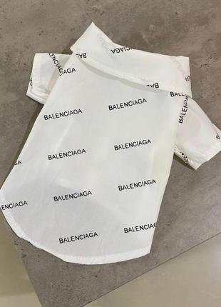Брендова сорочка для собак balenciaga на ґудзиках, біла5 фото