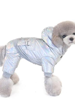 Зимний комбинезон для собак multibrand "карман" серебро2 фото