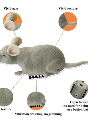 Мишка на батарейкі, швидко рухається3 фото