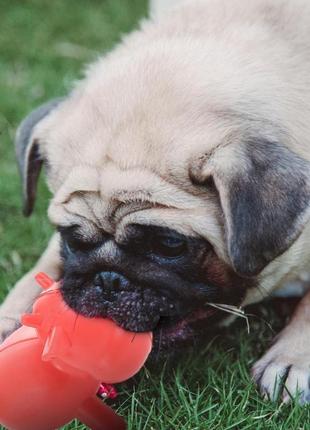 Игрушка для собак скрипучий бычок резиновый пуллер, красный 10см2 фото