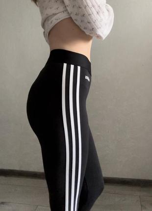 Лосини adidas