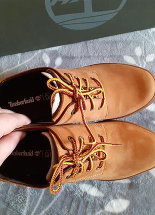 Timberland ●р37, 39-40● кожаные ботинки, ботильоны. оригинал из сша. киев.5 фото