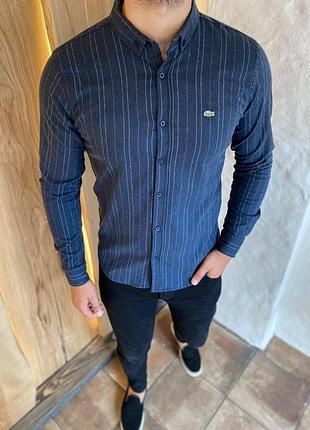 Класична сорочка lacoste синя чоловіча