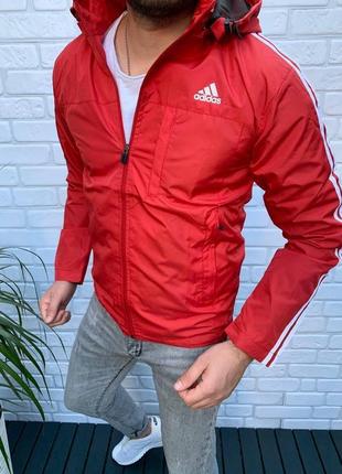 Вітровка adidas чоловіча стильна