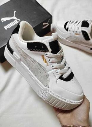 Puma