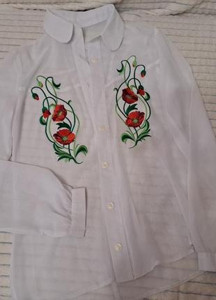 Шифонова блуза з вишивкою