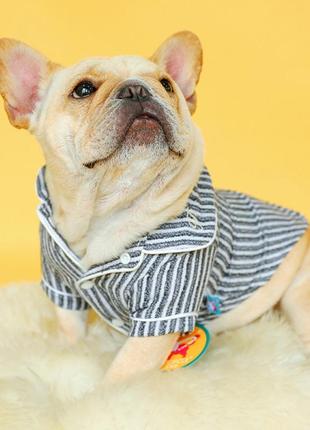 Сорочка для собак petcircle "lux p" сірий5 фото