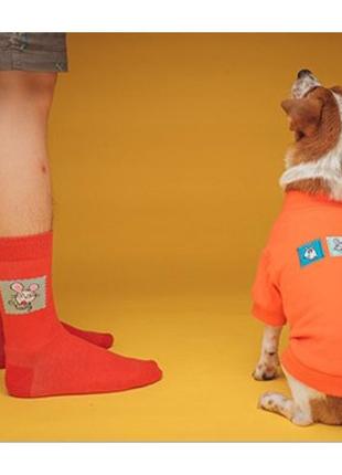 Шкарпетки для людей is pet family look "кішки мишки" червоний