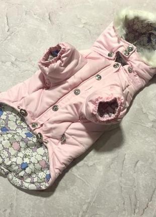 Зимняя куртка для собак is pet бантики на спинке, с капюшоном, розовая3 фото