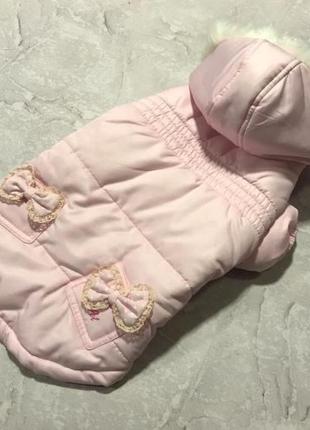Зимняя куртка для собак is pet бантики на спинке, с капюшоном, розовая2 фото