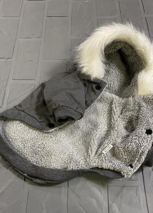 Джинсова зимова парка-куртка для собак із кишенями на спинці та капюшоном, сіра2 фото