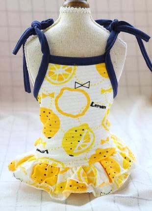 Платье для собак petcircle "лимончики" белая1 фото