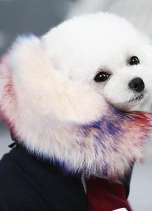 Зимова парка для собак cheepet на хутряній підкладці, з капюшоном на хутрі, синя6 фото