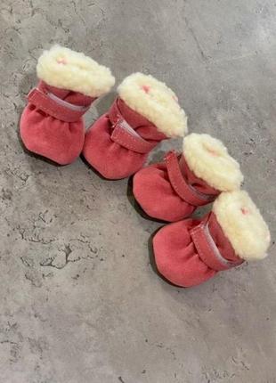 Взуття зимове для собак multibrand уггі замшеві, на неопреновій підошві, з липучкою рожевого кольору