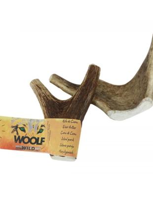 Оленьи рога дикого оленя для собак woolf wild
